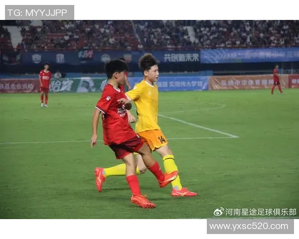 南京足球队总决赛表现分析：经验与战术的完美结合